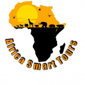 Africa Smart Tours