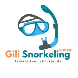 Gili snorkeling