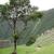 Inca Trail To Machu Picchu reviewer 1
