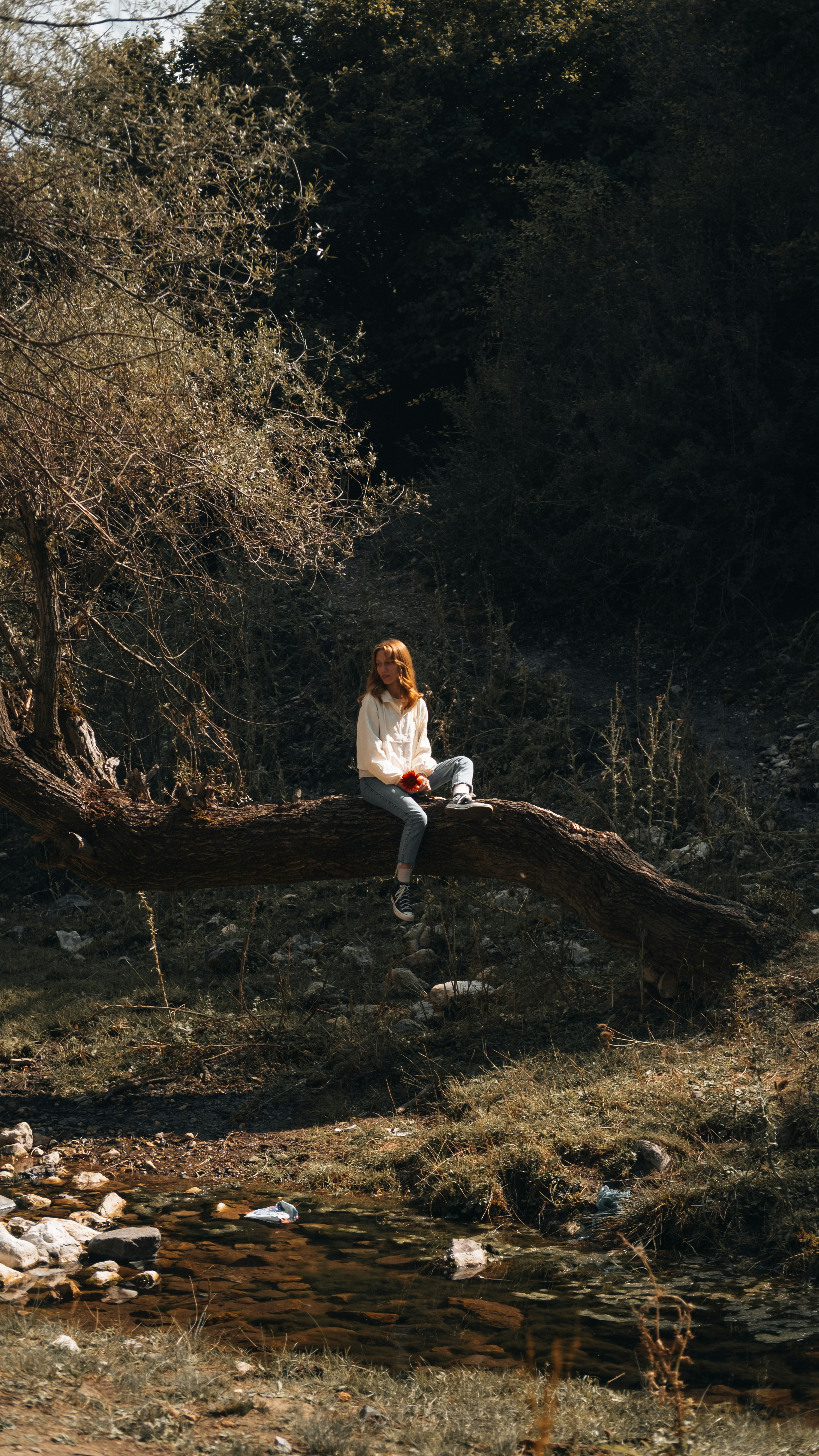 Persiguiendo a los Cinco Grandes: Safari épico de 7 días por los principales parques de Tanzania en el Círculo Dorado reviewer 1