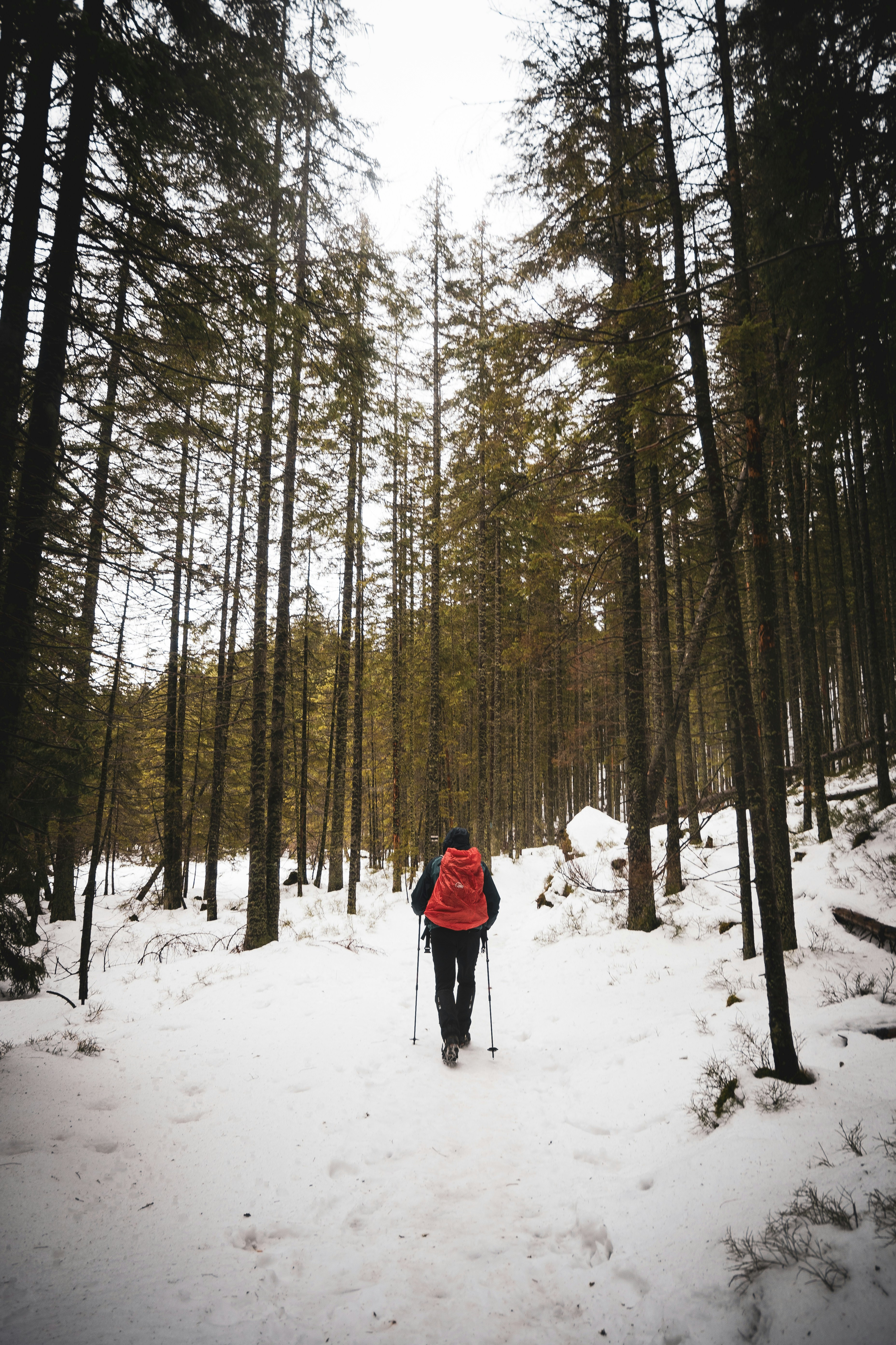 Escapada a la Naturaleza de los 3 Grandes en el Parque Nacional de Tarangire reviewer 1