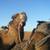 FROM MARRAKESH: 3-Days Luxury Tour To Erg Chigaga reviewer 4