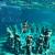 Bali Bucket List Tours Guide