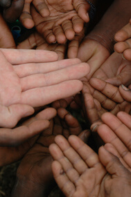 Volunteer / Community