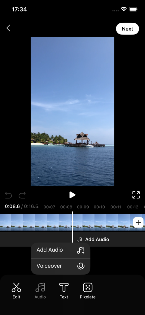 Edit main menu with Edit, Audio, Text and Pixelate tabs plus an audio add-menu