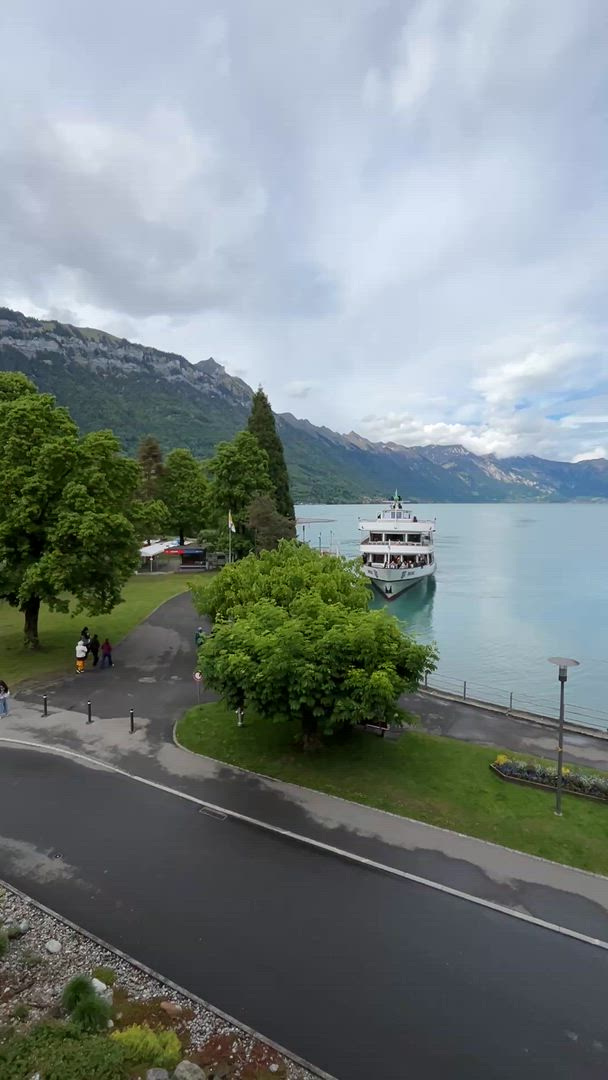Suisse Tout-en-un customer review video