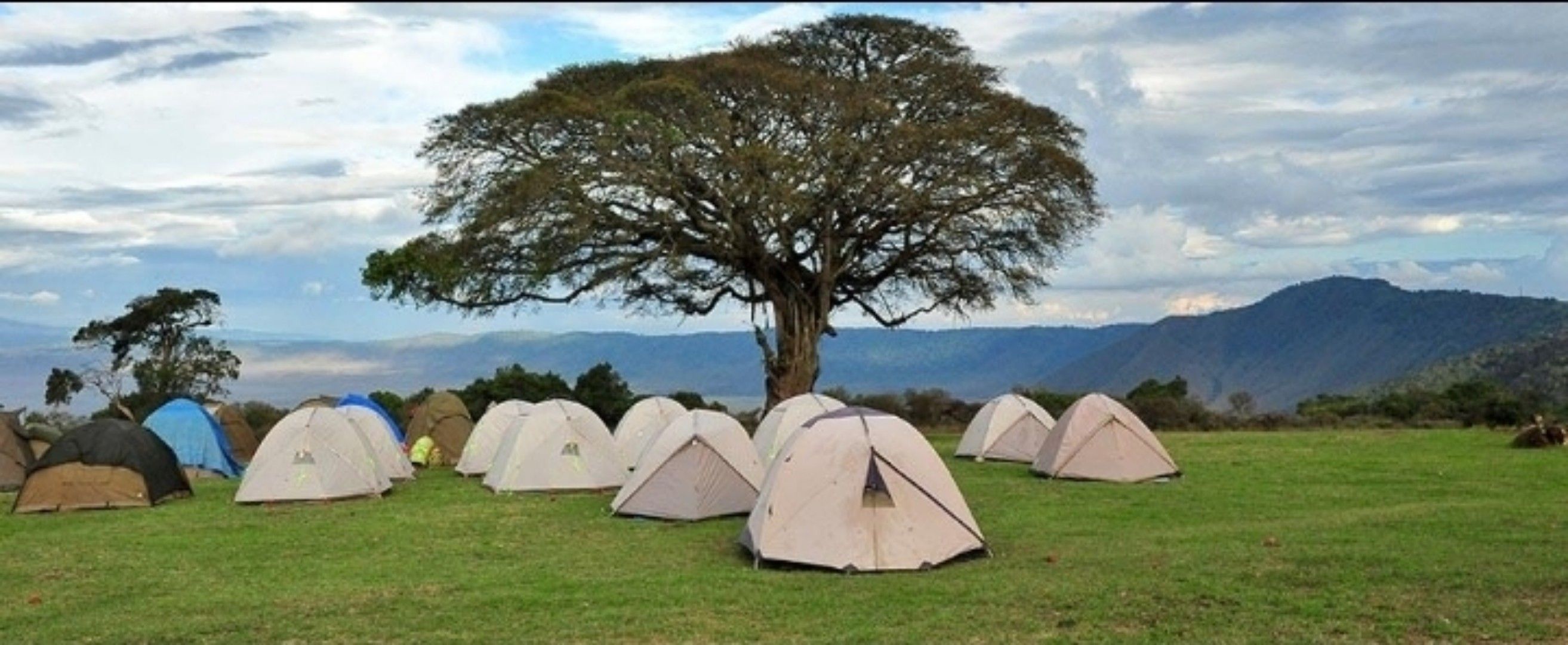 4 Days Tanzania Group Safari: Lake Manyara, Serengeti & Ngorongoro Crater