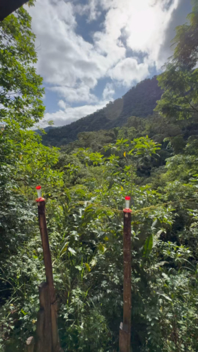 Trouvez votre Équateur circuit aventure & adrénaline idéal. Vous avez le choix entre pas moins de 103 voyages durant entre une journée et 18 jours. Le mois comptant le plus grand nombre de départs est Octobre, ce qui en fait le moment le plus apprécié pour aller en Équateur.