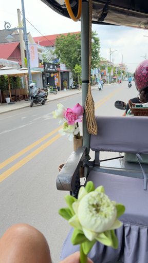 Are you ready to learn about the interesting culture and history of Cambodia? Visit the peaceful countryside of Kampot, where pepper farms thrive. Relax on tropical islands and beautiful beaches where palm trees sway over soft sand. Visit Angkor Wat, an ancient temple complex that is so beautiful that words can't describe it. Spend time in the capital, Phnom Penh.  You have to see it to believe it.