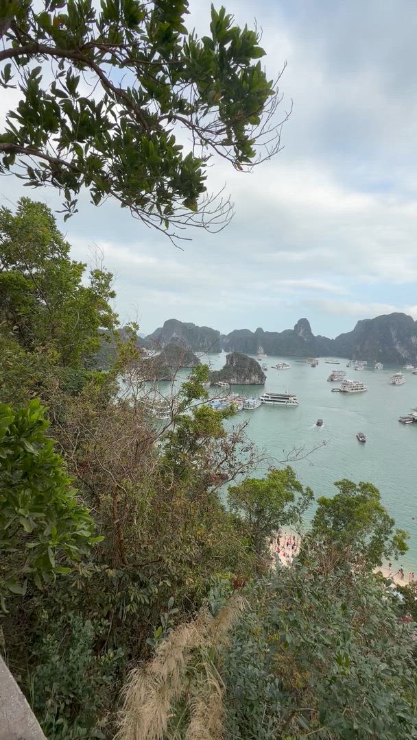 Trouvez votre circuit idéal au Vietnam. Nous avons 1961 aventures à vous proposer au Vietnam entre une journée et 30 jours.