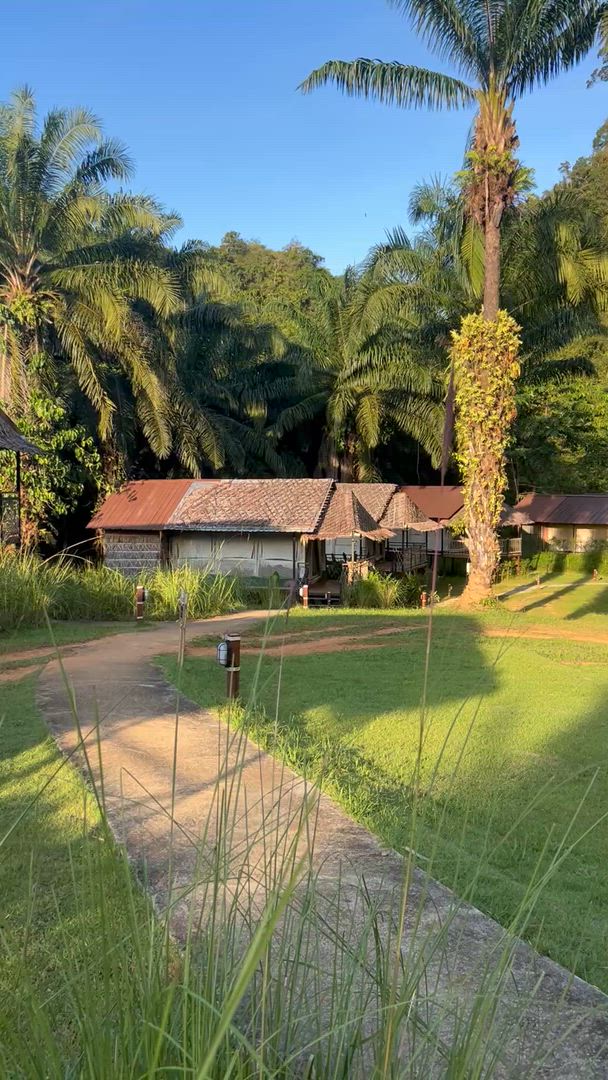 Hidden Gems of Southern Thailand In 14 Days - Private Tour customer review video