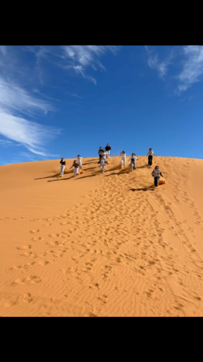 Sahara erleben! Lassen Sie sich von 2.793 Erfahrungsberichten inspirieren und wählen Sie aus über 250 Rundreisen.