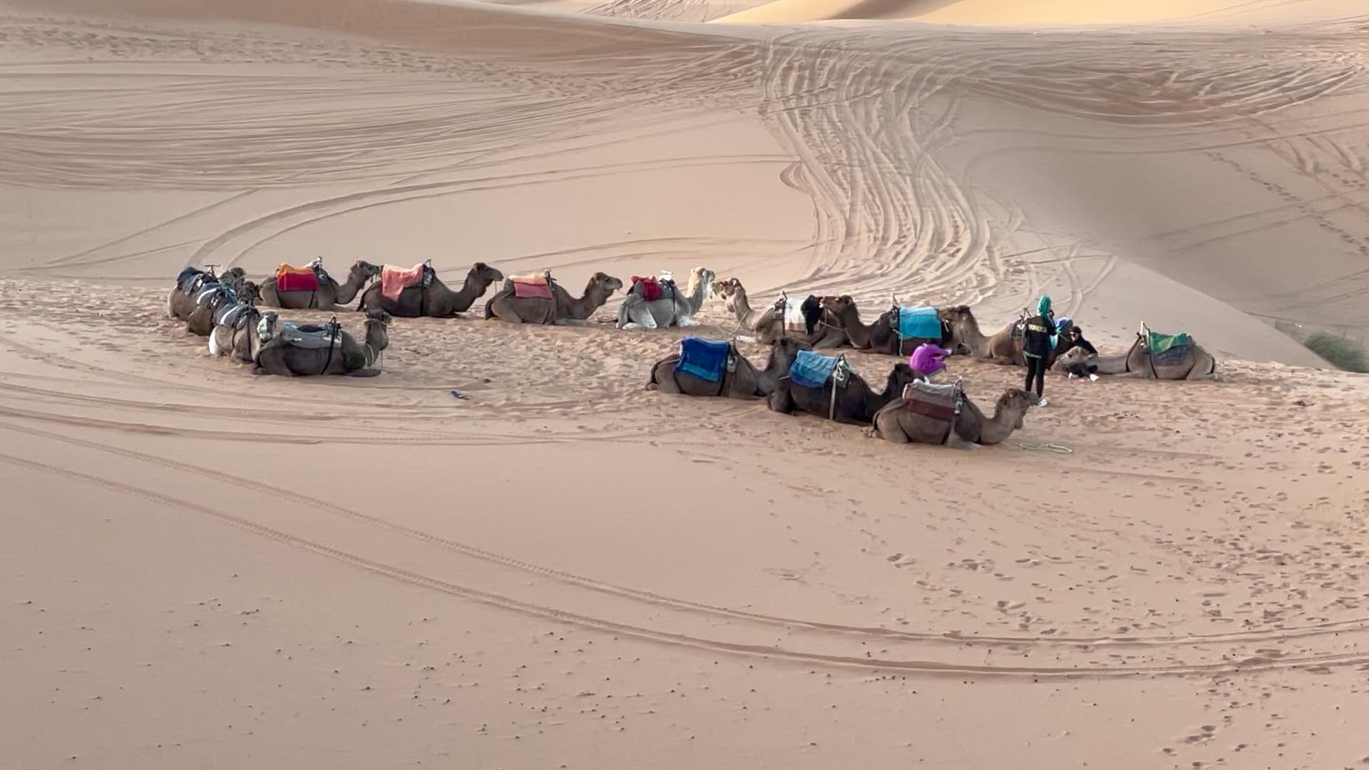 Die Highlights von Marokko customer review video