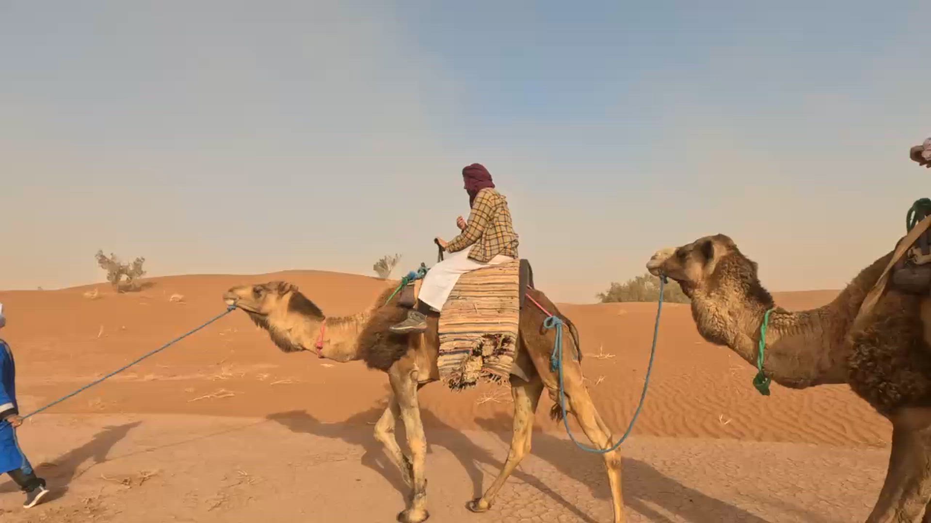video met klantbeoordeling van 3 Dagen Avontuurlijke trektocht op een kameel in de Sahara-woestijn van Marokko