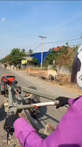 Trouvez votre circuit idéal au Cambodge. Nous avons 301 aventures à vous proposer au Cambodge entre une journée et 23 jours.