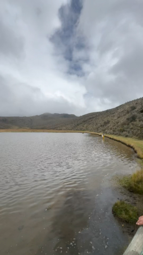 Ecuador Andenhochland erleben! Lassen Sie sich von 238 Erfahrungsberichten inspirieren und wählen Sie aus über 174 Rundreisen.