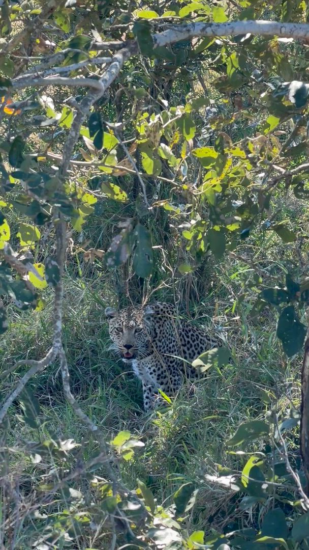 video met klantbeoordeling van Onvergetelijk Afrika: Van Kaapstad tot de Okavango Delta