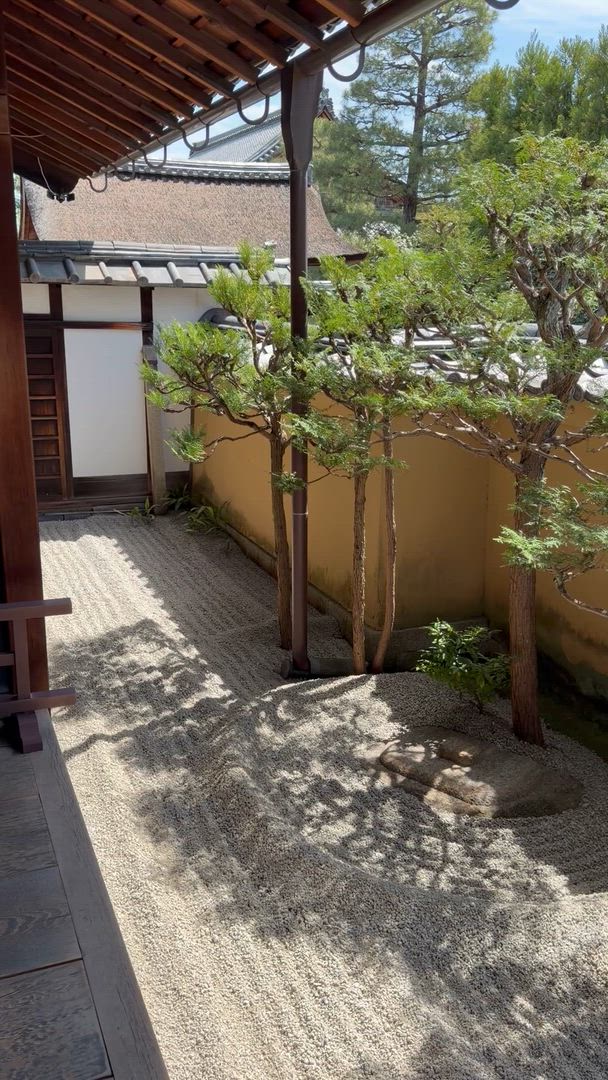 Japan Highlights mit One Life Adventures 9 Tage Kundenbewertungsvideo