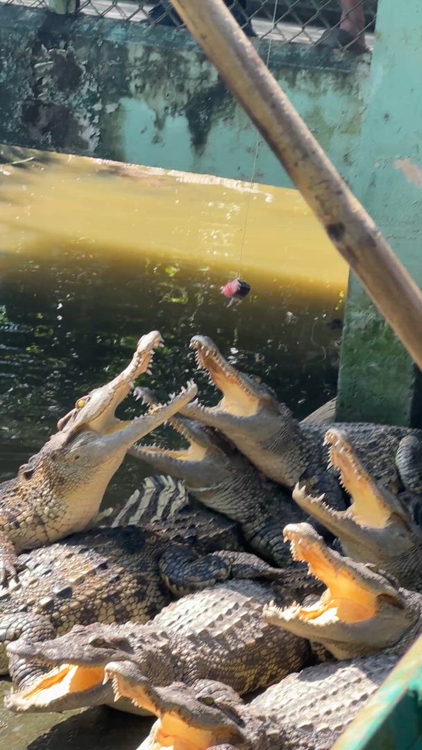 Vídeo de reseña del cliente sobre El sabor de Vietnam y Camboya en 9 días