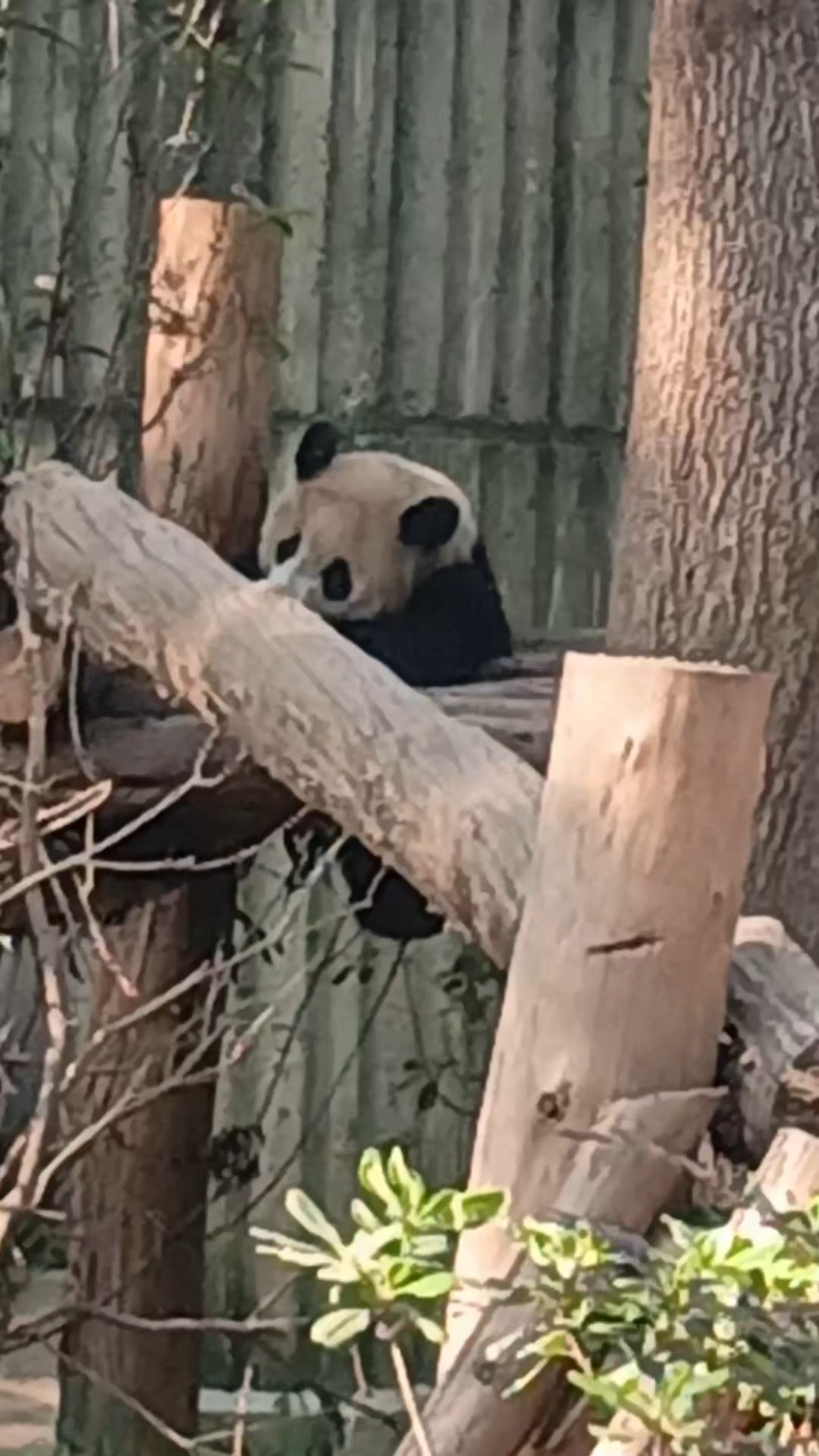 Trouvez votre circuit idéal en Chine. Nous avons 922 aventures à vous proposer en Chine entre une journée et 36 jours. Le mois le plus apprécié pour s'y rendre est mai, c'est-à-dire le mois qui compte le plus grand nombre de départs.