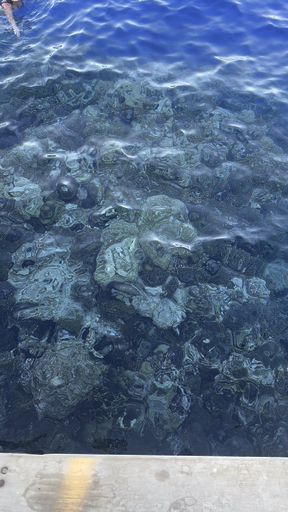 Encuentra el circuito adecuado para ti en Egipto. Tenemos 1812 aventuras en Egipto, empezando desde un día de duración, y el circuito más largo de 30 días.