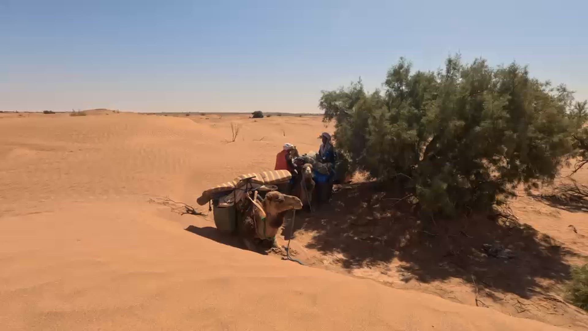video met klantbeoordeling van 3 Dagen Avontuurlijke trektocht op een kameel in de Sahara-woestijn van Marokko