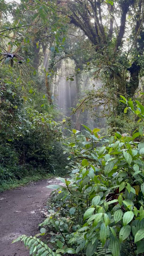 Mittelamerika Rundreise customer review video