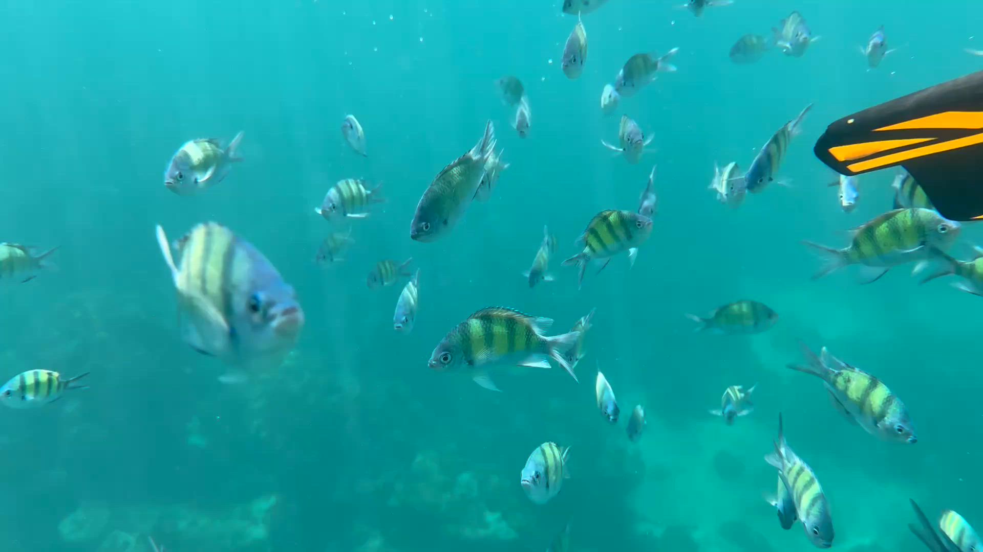 Vídeo de reseña del cliente sobre Exquisito viaje de 14 días por Vietnam y Tailandia