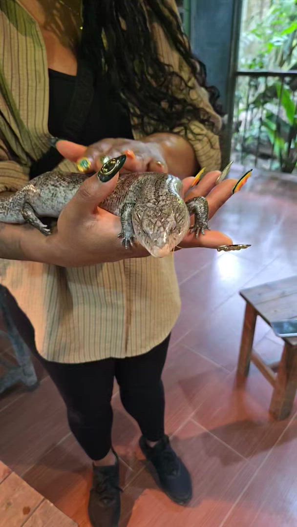 City to Serenity: 9-Day Malaysian Discovery customer review video