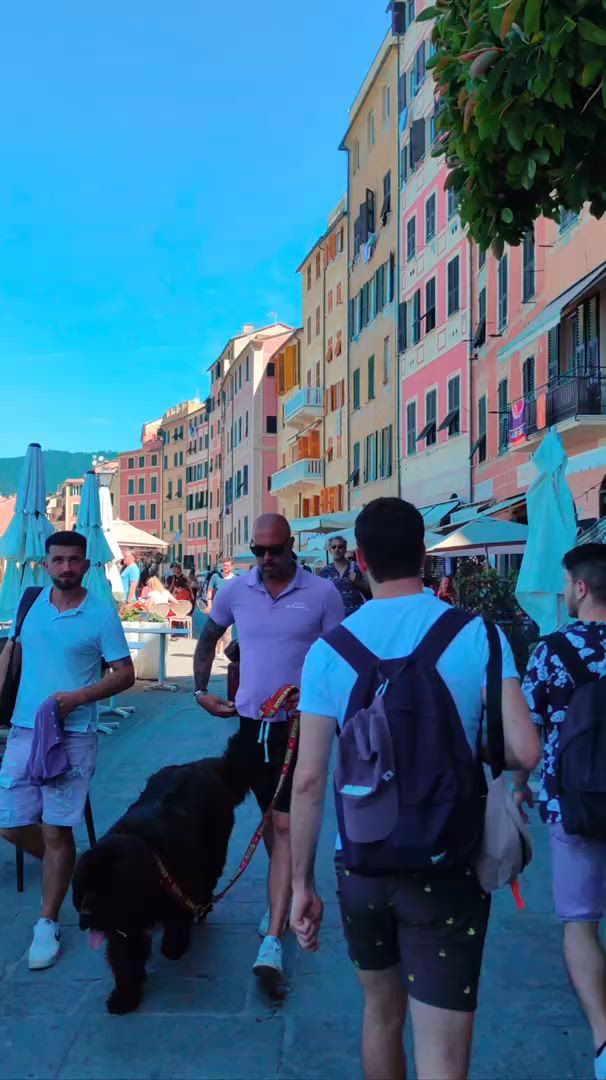 Italian Discovery