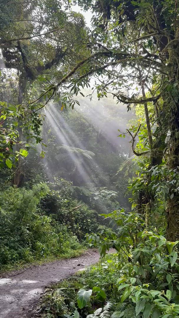 Mittelamerika Rundreise customer review video