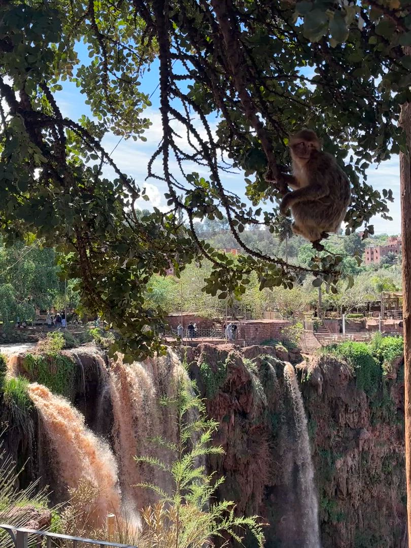 video met klantbeoordeling van Marrakech: 4-daagse tour met kookles en waterval trip