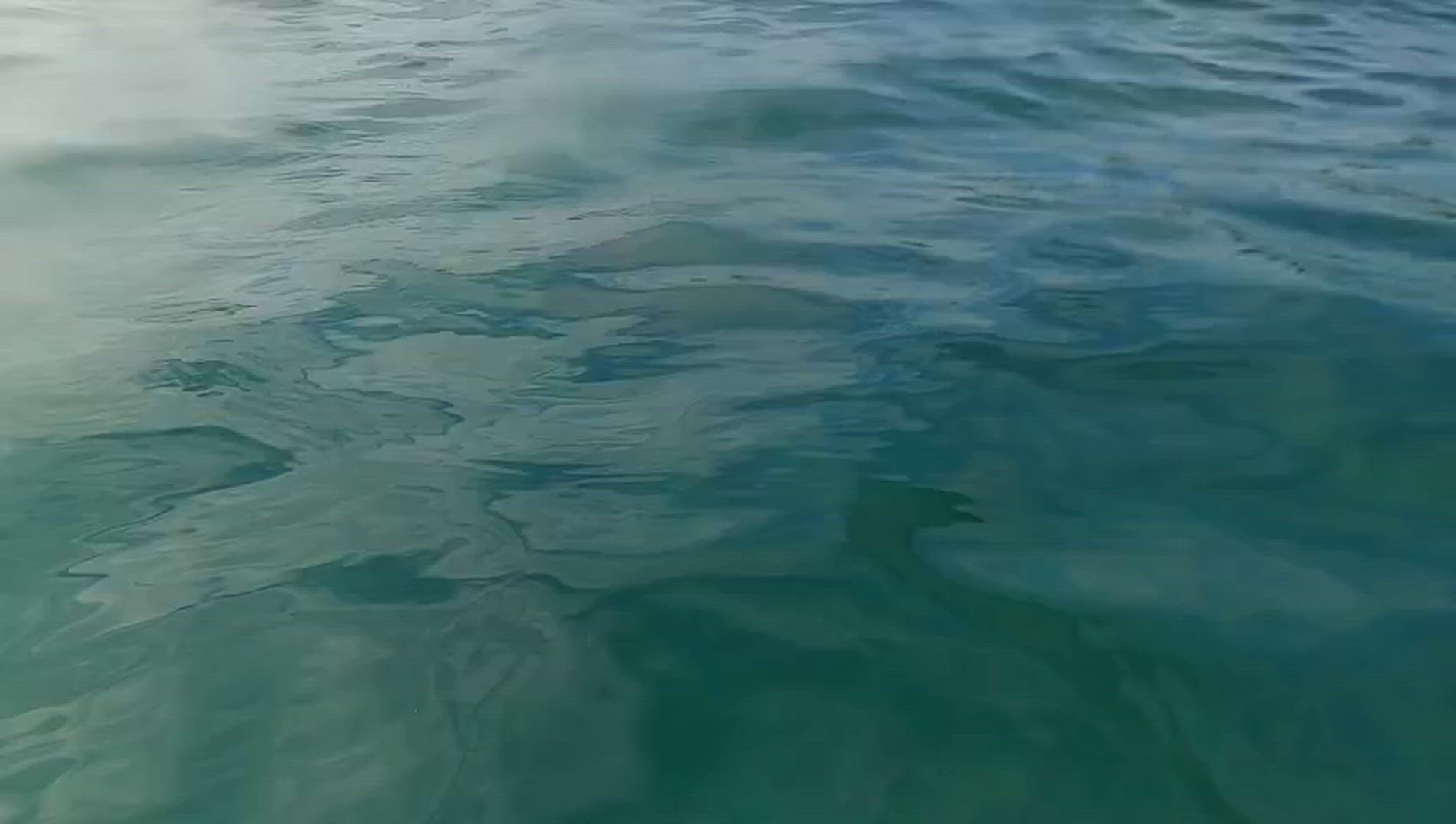 Le meilleur des Galápagos customer review video