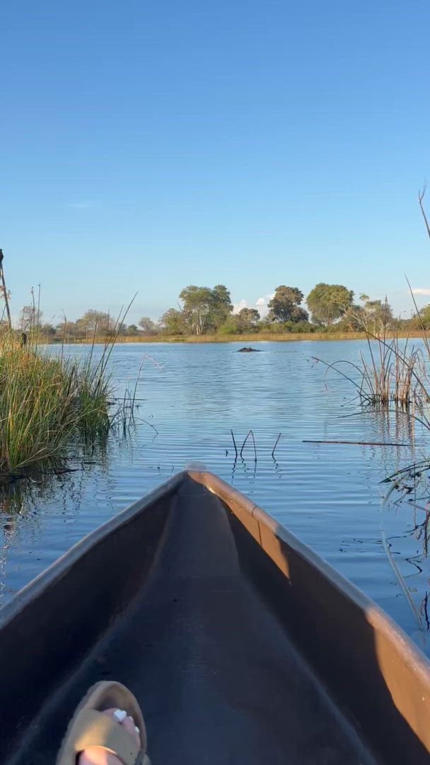 Vídeo de reseña del cliente sobre Delta y cataratas en dirección este: Árboles baobab y vistas al río