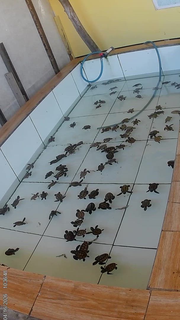 Bali Classic 12 jours - One Life Adventures customer review video