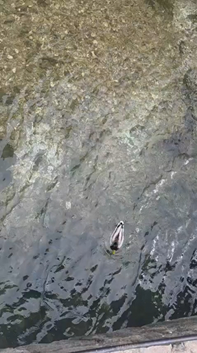 Choisissez parmi notre vaste sélection de 2089 circuits entièrement guidés et vivez une expérience sans tracas vers Balkans, guidés par nos experts.