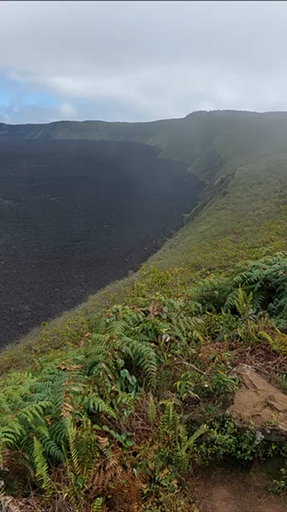 Trouvez votre circuit aux Îles Galapagos idéal. Nous avons 393 aventures à vous proposer aux Îles Galapagos durant entre une journée et 32 jours. Le mois le plus apprécié pour s'y rendre est Août, c'est-à-dire le mois qui compte le plus grand nombre de départs.