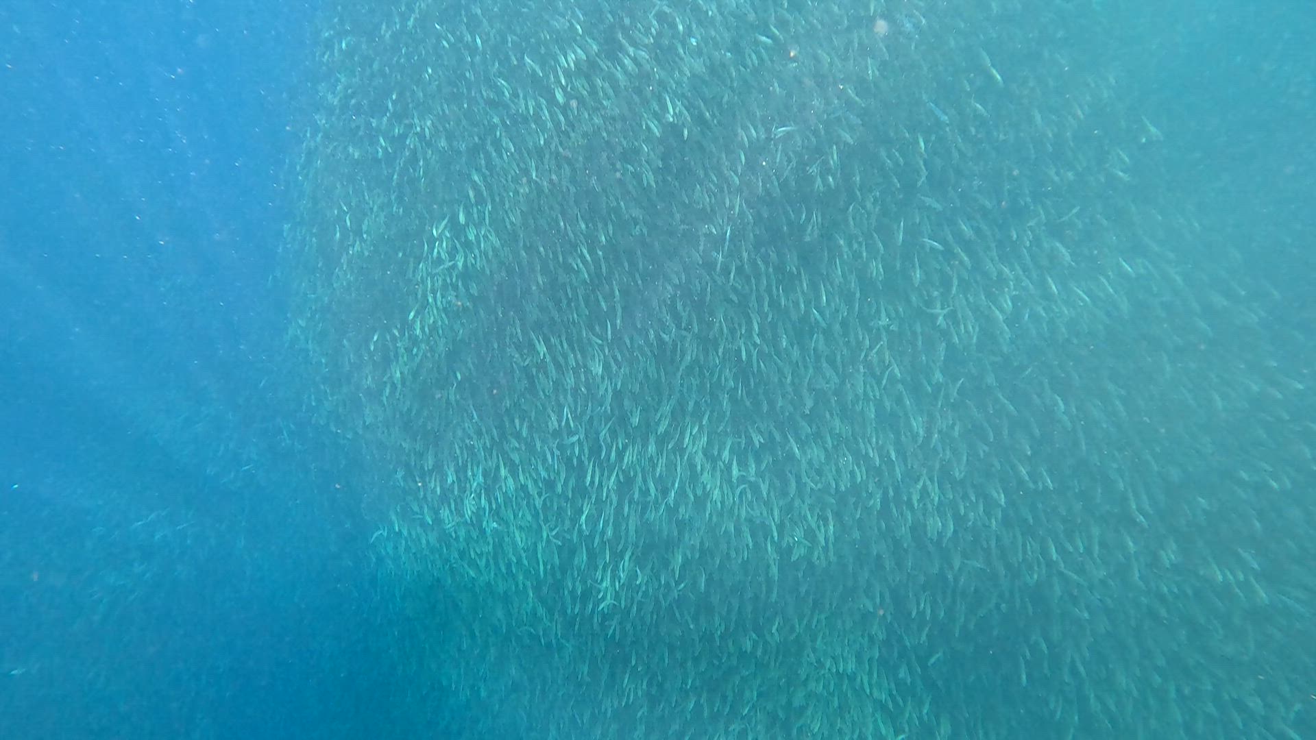 Vídeo de reseña del cliente sobre 7 días para descubrir Visayas: Gozo en Boracay, Aventuras en Cebú y Escapada a la Campiña en Bohol