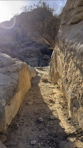 Ga op rondreis door het oude Jordanië en je zult de ongelooflijke ruïnes van de verloren stad Petra vinden, maak een reis naar Mt Nebo waar Mozes ’het beloofde land’ zou hebben gezien en bezoek <a href="/nl/v/regio-wadi-rum">Wadi Rum</a> waar je kunt overnachten met de bedoeïenen inwoners. Probeer te drijven in de beroemde Dode Zee of bezoek de kosmopolitische hoofdstad <a href="/nl/a/azie-rondreizen-amman">Amman</a>.