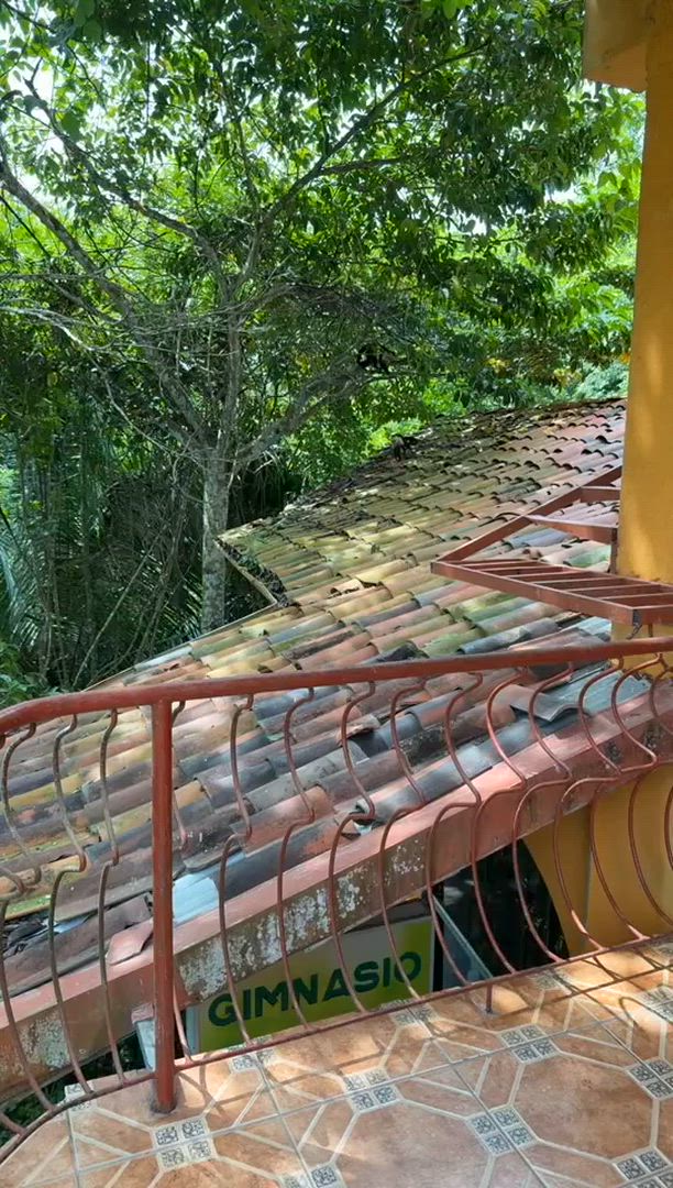 Essential Costa Rica - Package with Manuel Antonio National Park customer review video