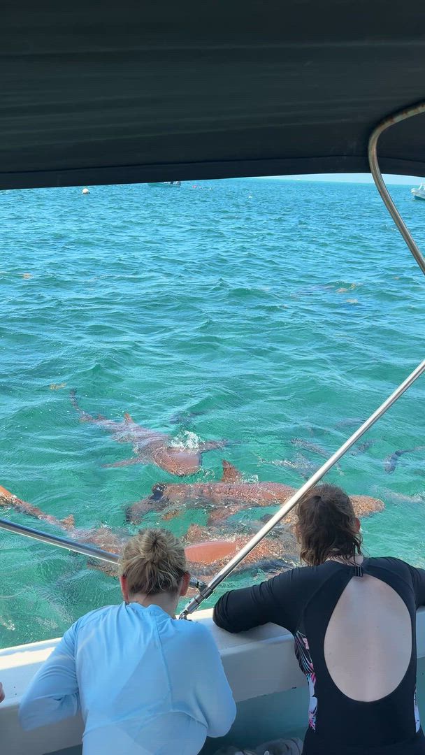 Intro sur l'Amérique centrale customer review video