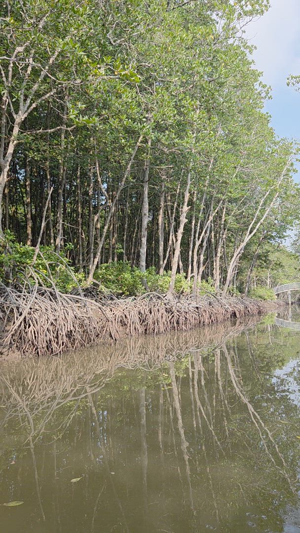 Le meilleur du Vietnam en 14 jours customer review video