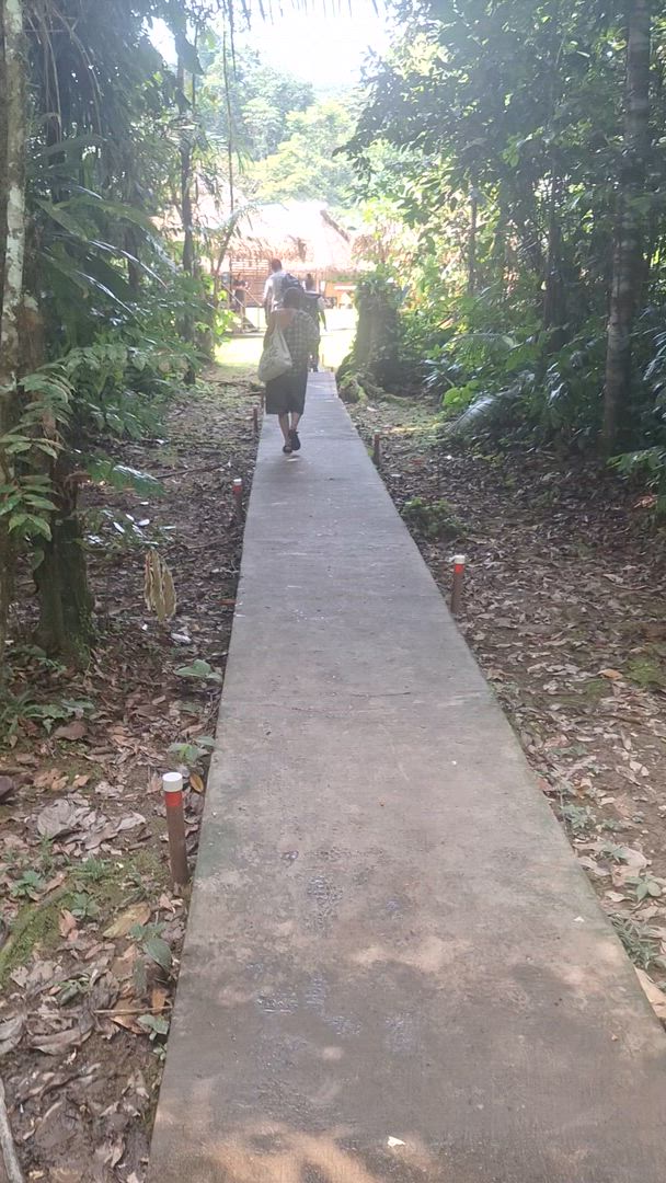 Vídeo de reseña del cliente sobre Excursión en grupo de 7 días a la Reserva de Fauna Cuyabeno para viajeros gays