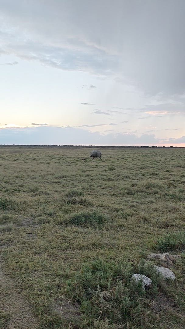 Vídeo de reseña del cliente sobre Experiencia Okavango
