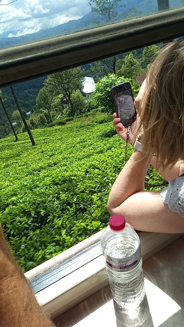 Mit traumhaften Sonnenuntergängen, endlosen Stränden, einer reichen Natur sowie würzigen Currys werden Sie noch lange an Ihr Abenteuer in Sri Lanka denken. Von goldenen Stränden von <a href="/de/d/bentota">Bentota</a> und der atemberaubenden Unterwasserwelt in Mirissa zur charmanten Kolonialstadt Galle und den Felsruinen von Sigiriya, hier kommt jeder auf seine Kosten. Egal, ob Sie romantische Flitterwochen planen oder ein Backpacker Abenteuer, die "Träne Indiens" empfängt Sie mit offenen Armen. Verpassen Sie auf keinen Fall die Safaris bei Yala und Udawalawe, und die malerische Zugfahrt von Kandy ins sattgrüne Hochland von Ella!
