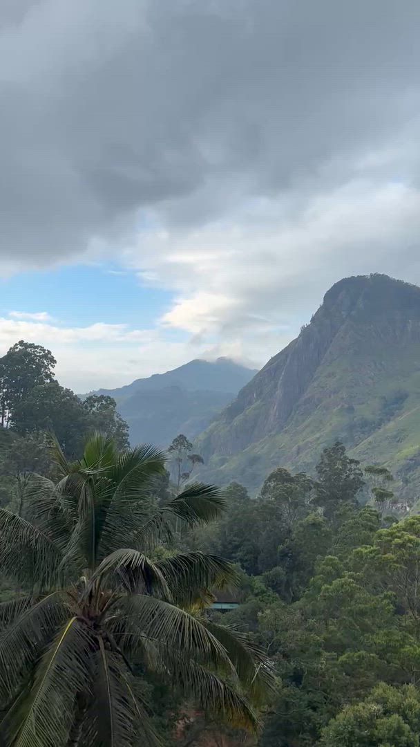 Vídeo de reseña del cliente sobre Expedición Todo en Uno a Sri Lanka