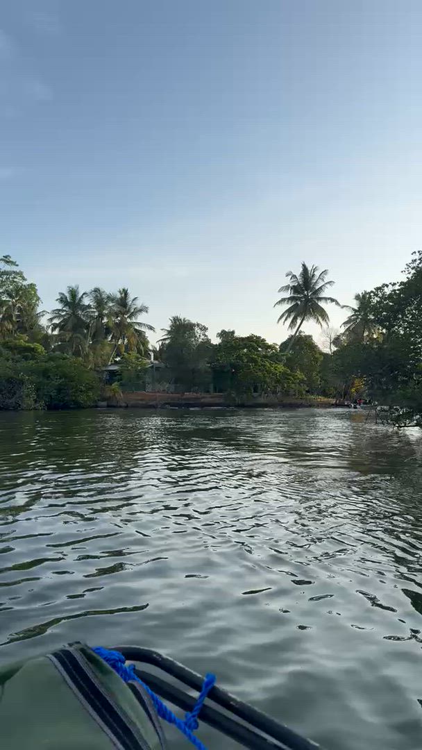 Vídeo de reseña del cliente sobre Senderos Intemporales: Desvelando la rica historia de Sri Lanka