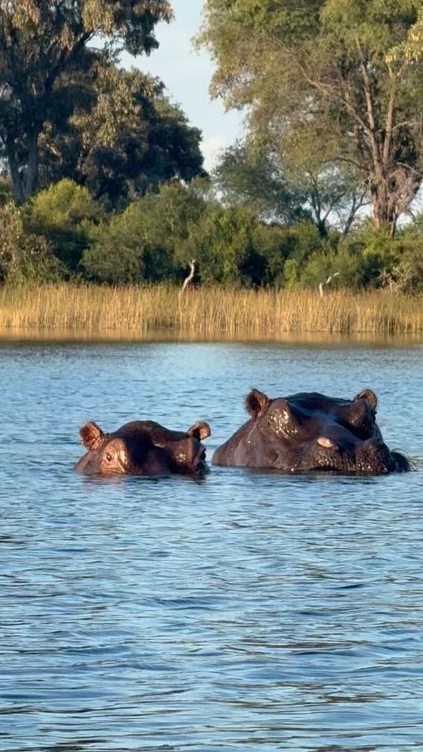 Vídeo de reseña del cliente sobre Delta y cataratas en dirección este: Árboles baobab y vistas al río