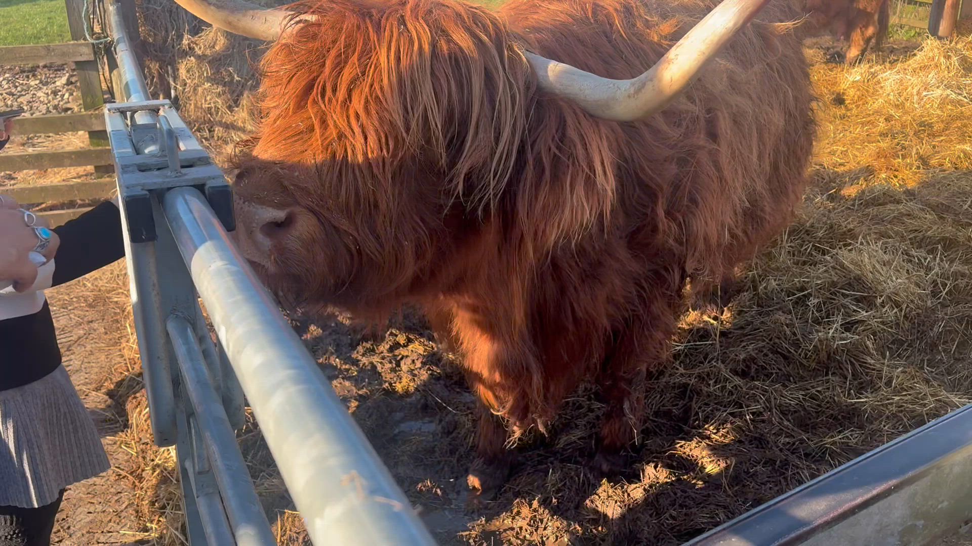 Lochs, castles, fairytale settings, and imposing mountains. That’s Scotland, all with a welcome that’s like nowhere else. Visit Edinburgh and take in the castle and Royal Mile, head to Glasgow and experience true local life. Sample whiskey in a Highland distillery, and look for Nessie at Loch Ness. Admire the majesty of Glen Coe and Loch Lomond. Are you brave enough to try haggis?