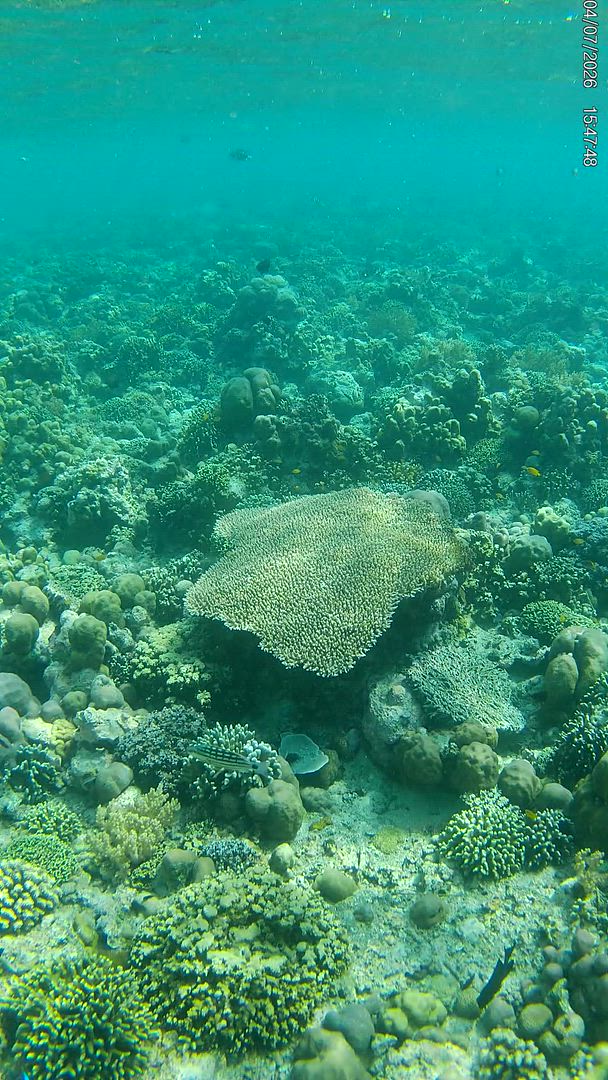 Bali Classic 12 jours - One Life Adventures customer review video